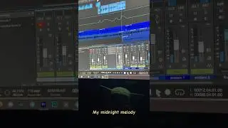 Midnight melody #music