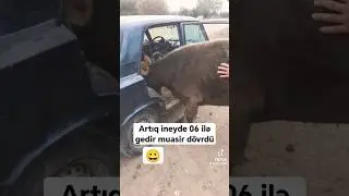görün #automobile #funny #car #vine #shortvideo #prikol #subscribe