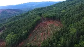 Winch-Assisted Logging Improves Safety on Steep Slopes