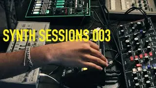 Minimal Techno Jam | TB-03 with Moog Filter | Synth Sessions 003