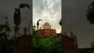 #shortvideo