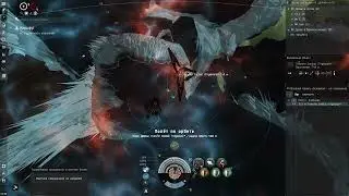 #5      eve online t5 exotic gila