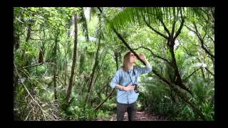Jungle Green Screen