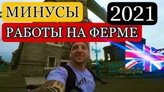 МИНУСЫ РАБОТЫ НА ФЕРМЕ ВЕЛИКОБРИТАНИИ