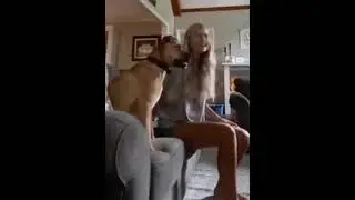 Dog addicted to soccer ⚽️⚽️
