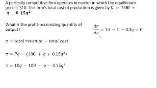 Perfect Competition Profit Maximization: Example 3