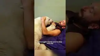 Rescuing an abandoned baby polar bear brought unexpected joy