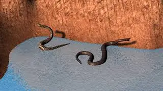 video 3d snake motion