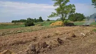 Готовлю участок для осенней посадки клубники.