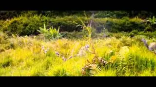 The Mankeys - Zhenek (Preview)