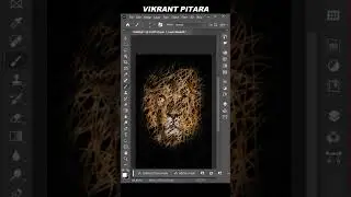 STROKE IMAGE EFFECT 