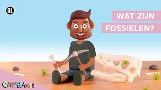 Wat zijn fossielen?