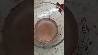 БЕСПЛАТНЫЕ СЕМЕНА КЛУБНИКИ #настялосева #дача