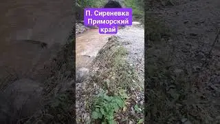 Последствия тайфуна п. Сиреневка, Приморский край.