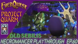 EverQuest Project Quarm | Necro Lvl 58+ | EP. 60 Fungi King | Hierophant Farm | Lil PoJ