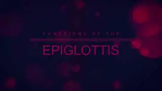The Process of Sneezing & Functions of the Epiglottis