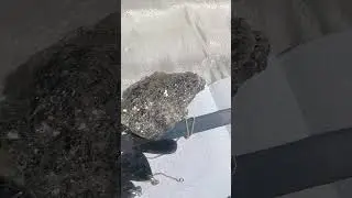 10 травня 2024 р.