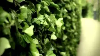 5D MK 2 video test