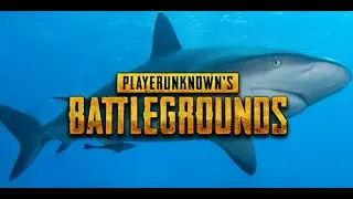 Pubg | Halhatatlan cápák (#1)