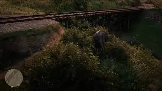 Red Dead Redemption 2 online BETA