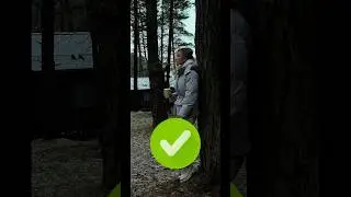 10 декабря 2023 г.