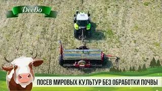 Посев мировых культур без обработки почвы.