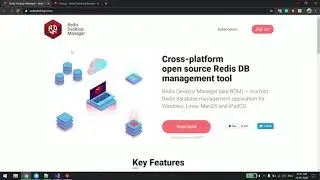How to run Redis server on docker and alternative tool for Redis desktop manager