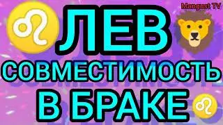 ♌🦁 ЛЕВ. СОВМЕСТИМОСТЬ С ДРУГИМИ ЗНАКАМИ ЗОДИАКА. АСТРОЛОГИЯ.