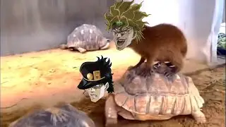 Capybara DIO