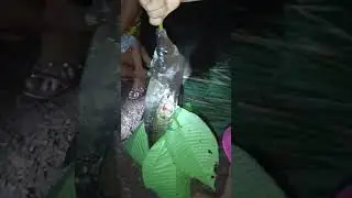 pescaria facão e lanterna 🔦🎃(1)