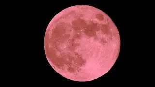 "STRAWBERRY MOON(( FULL))