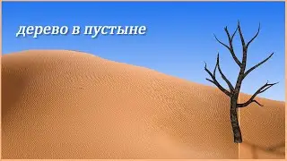 Дерево в пустыне / трогательный мультфильм