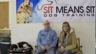 English Springer Spaniel Dog Training