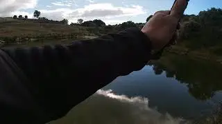 imakatsu stealh Swimer