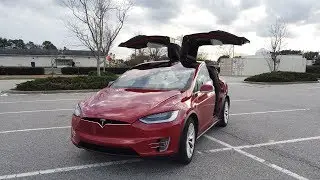 Day 566 Tesla Ruby A Year in Bloopers 2018