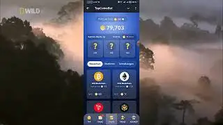 TapCoins тапалка | только увидел