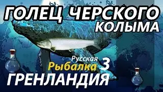 Голец Черского Колыма / РР3 [Русская Рыбалка 3 Гренландия]
