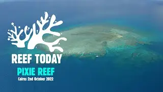 REEF TODAY 2nd October 2022