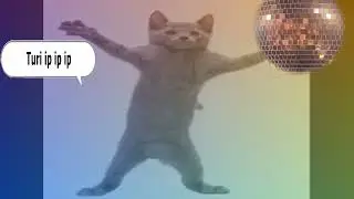 turi ip ip ip
