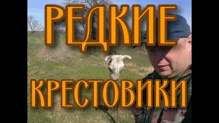 МЕГА КОП ПО КРЕСТОВИКАМ.