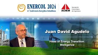 Juan David Agudelo. Head of Energy Transition. Welligence
