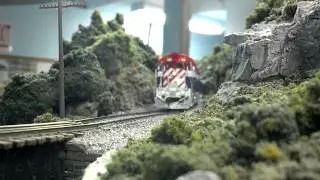 MRP (C) 2012 FNM on the mixed (model Train)