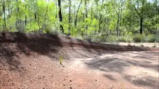 FIRST- MX 2013