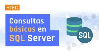 ▶️ BASIC SQL QUERIES | Video Tutorial
