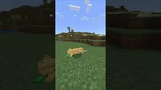 Datos que NO Sabias de los OCELOTES #minecraft #short #subscribe #shorts