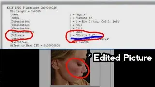 Amber Heard's Submitted Pictures are Fake | Proven With Evidence