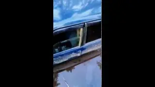 Порыбачили...утопили ежика...