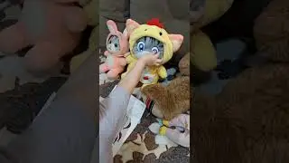 Чем занимается ребенок аэродизайнера, пока мама делает  наклейки 🤣🎈