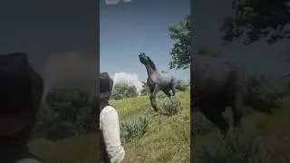 This Blue Roan Nokota Did Not Want To Go Home, in Red Dead Redemption 2