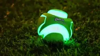 Új Chuckit! Max Glow Line Kutyamania.hu-n